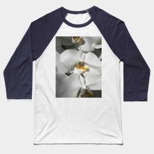 White Orchid Yellow Center Baseball T-Shirt